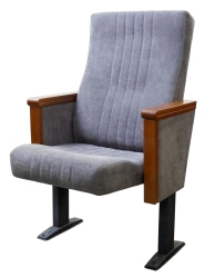 Auditorium Seating Chair Congress