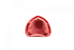 Upper Jaw Mucosal Gum Model PD-DV BZ for Dental Models