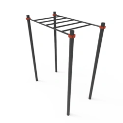 Sport Complex for Kids 14+ - Trainer-008 (Monkey Bars)