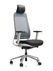 Stylish and Comfortable FALCONE Chair FILO-BG