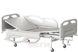 Functional Two-Section Medical Bed Kф2-01-МСК (МСК-2102)