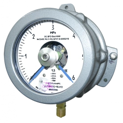 Vacuum Pressure Gauge DW2005C1Ex for Hazardous Areas