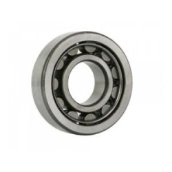 Rolling Bearing Cylindrical Roller 6-42306КМШ