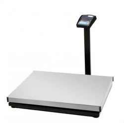 Electronic Scales with Programmable Weighing Limits and Discreteness PVm