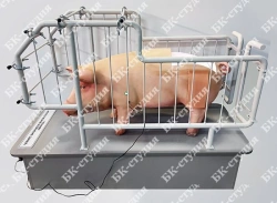 Veterinary Training Simulator for Swine Reproduction and Disease Study