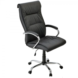 Bona Executive Chair - Stylish and Modern Design