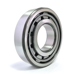 General Purpose Bearing 12320 M