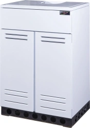 Domestic Gas Heating Appliance with Water Circuit AOGV-100-1 Rostov Model 2216-170