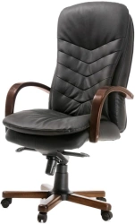 Comfortable and Stylish Armchair ADELE