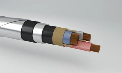 Power Cables with Paper Insulation and Aluminum Conductors, 1 kV ASBl