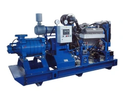 Diesel Pump Unit DNU(Oil)-180/212 for Efficient Fluid Transport