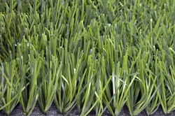 Artificial Grass Turf Surface Grass 50/14 PU