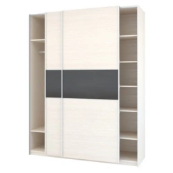 Two-Door Wardrobe for Hallway, Type 2