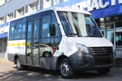 Class B Bus for Persons with Disabilities - Model 2250DN