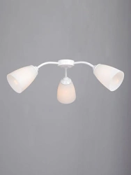 General Purpose Stationary Light V3187-0/3PL