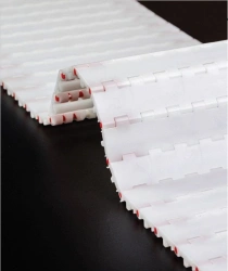 Modular Conveyor Belt ML2580 PE (xx X xx mm; PE Pin; Clips)