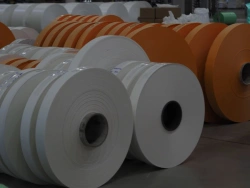 Synthetic Complex Fiber Fabrics with Monofilament and Tape Yarns