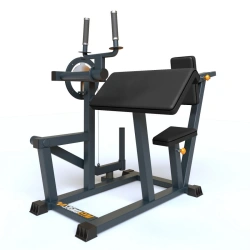BF-209.2 Triceps machine