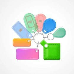 Mifare Plus SE Integrated Circuit Keychain