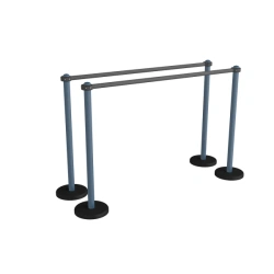 Parallel Bars for Physical Development