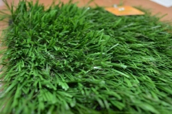 Artificial grass Optigrass Classic 70 MF
