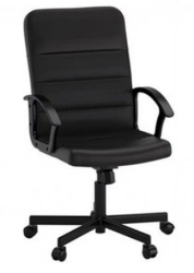 Treviso Series Comfortable Armchair with Metal Base