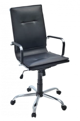 Comfortable Eva M Chair for Home and Office Use