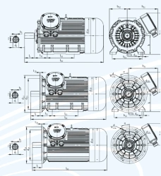 DVR 355 Explosion-Proof Three-Phase Induction Motor 375-750 kW