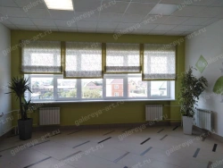 Transparent Roman Curtain with Pattern - Decorative and Protective