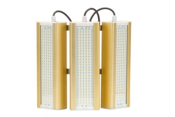 LED Module Gold Light Fixture, Console KM2-3, 5000K, 186W