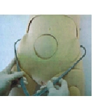 Pelvic Measurement Simulator for Adults F22