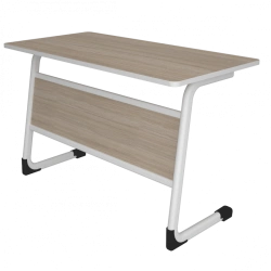 Student Desk FrPU1.2.4 (Double Seater, Height Adjustable)