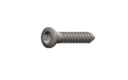 Cortical Screw Ø 2.7 mm, Length 10-30 mm, Pitch 2 mm, Article 22.09.XX