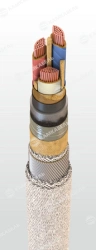 Power Cable with Copper Conductors, Paper Insulation, 6/10 kV, CSPлШнг