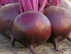 Fresh Table Beetroot - Nutrient-Rich Vegetable