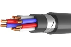 Control Cable KVBbShvng(A) 0.66 kV