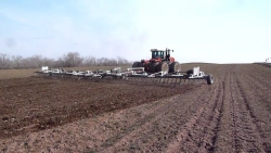 Heavy Spring Sectional Harrow FORTUNA-21