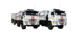 Comprehensive Special and Sanitary Treatment Point "KPSO