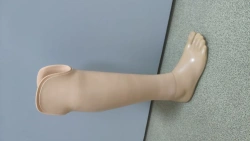 Therapeutic Training Lower Leg Prosthesis