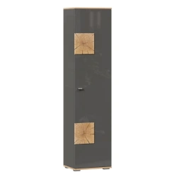 Fiji LD.659160.000 Single-Door Wardrobe (Golden Oak/Anthracite)