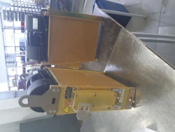 DC Traction Motor Protection Device for Emergency Modes AVMY.421413.034