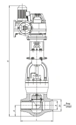 Regulating Valve 21с-100-3-Э