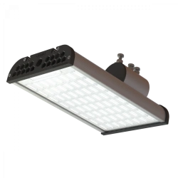 Ray Series 50W LED Outdoor Light
