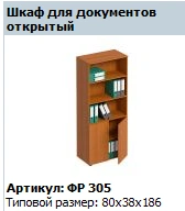 Open Document Cabinet "Formula" FR 305