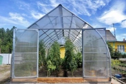 Greenhouse "Farmer" - 4m Wide, Arch Shape, Reinforced Steel Frame