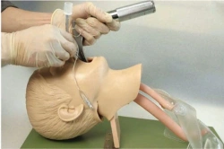 Pediatric Intubation Training Model 1A