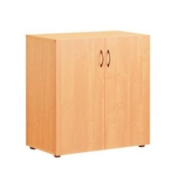 Durable Storage Cabinet with Adjustable Feet
