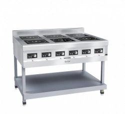 Six-Burner Induction Cooktop KIP-69P-5.0-01 for Catering