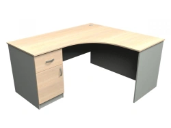 Medical Desk SPU-5 for Document Management