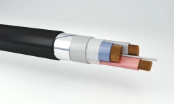 Power Cables with Copper Conductors and Plastic Insulation 1 kV PвБШп(г)